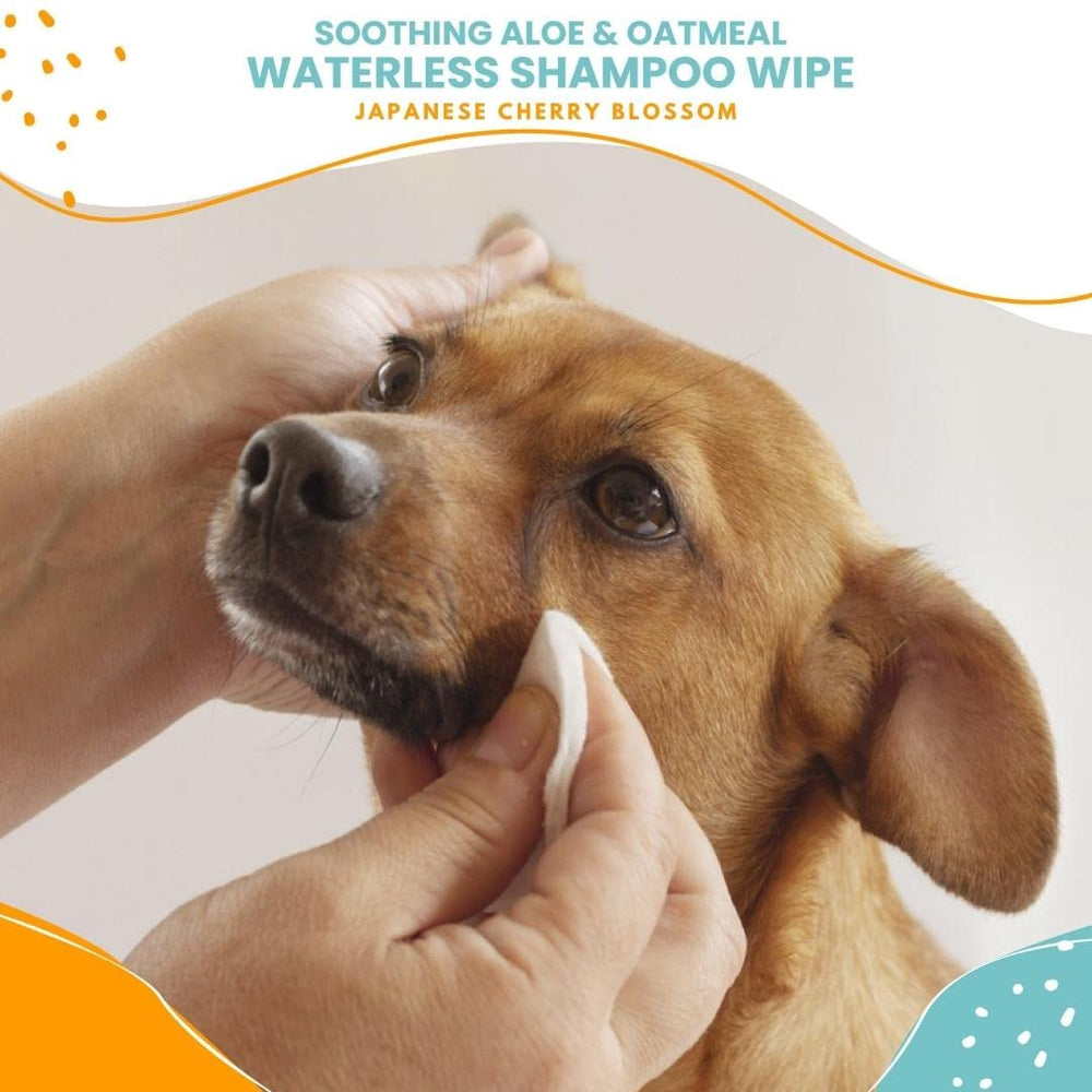Dog grooming scene using Nootie wipes for quick, mess-free wipe-downs