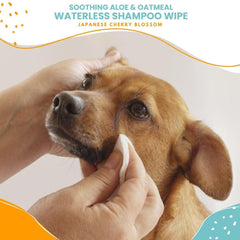 Dog grooming scene using Nootie wipes for quick, mess-free wipe-downs