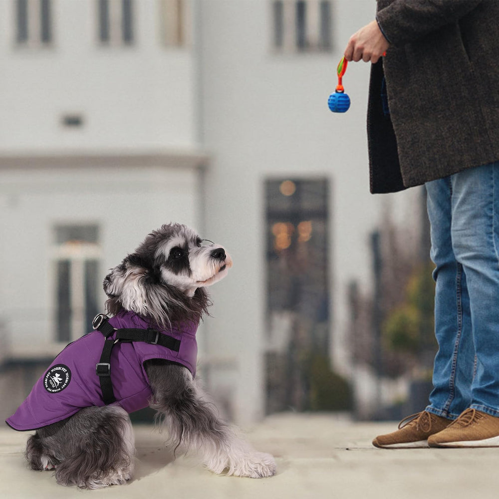 Norbi durable stitching and leash-point for everyday adventures