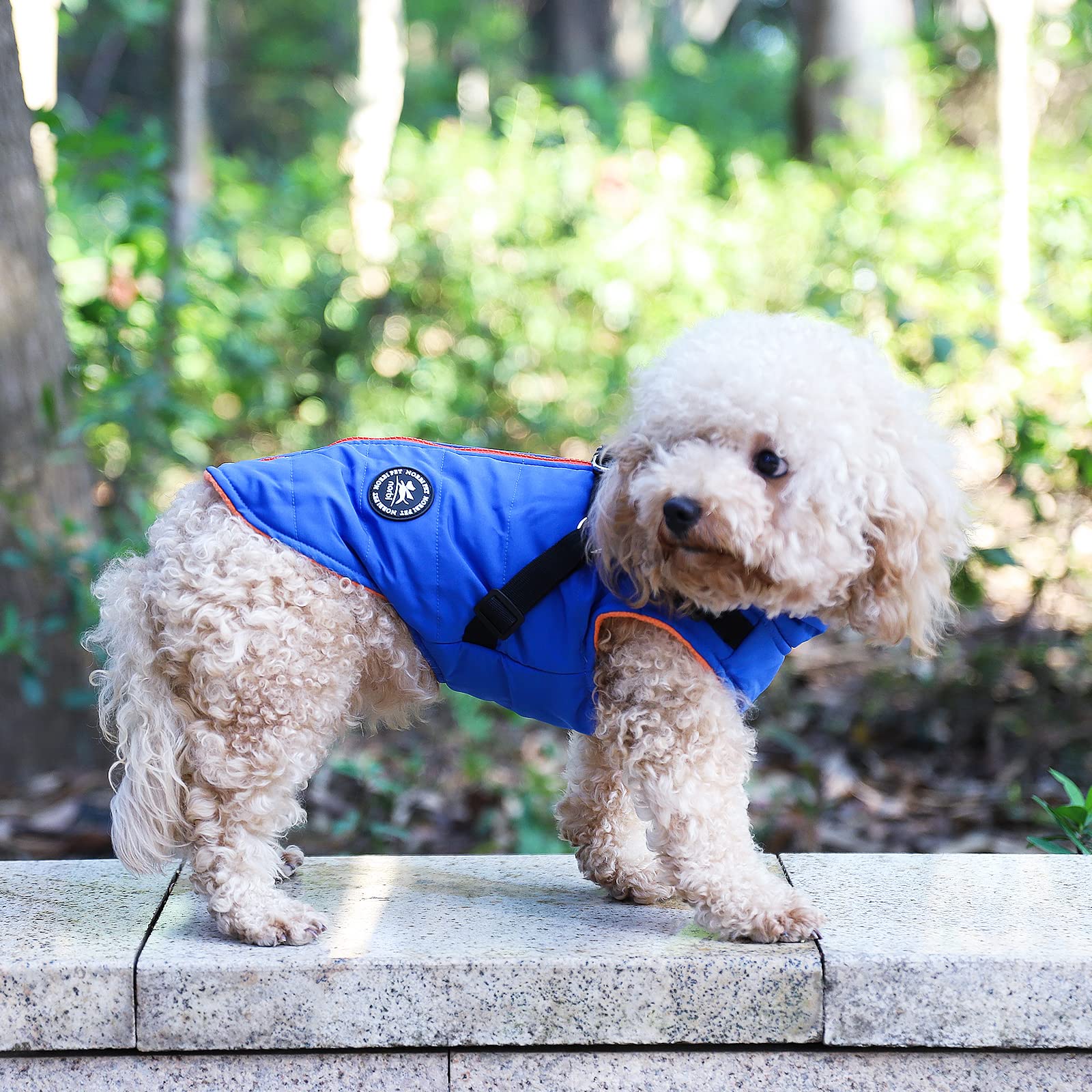 Norbi Pet Warm Jacket back-zipper design enables simple dressing and secure closure