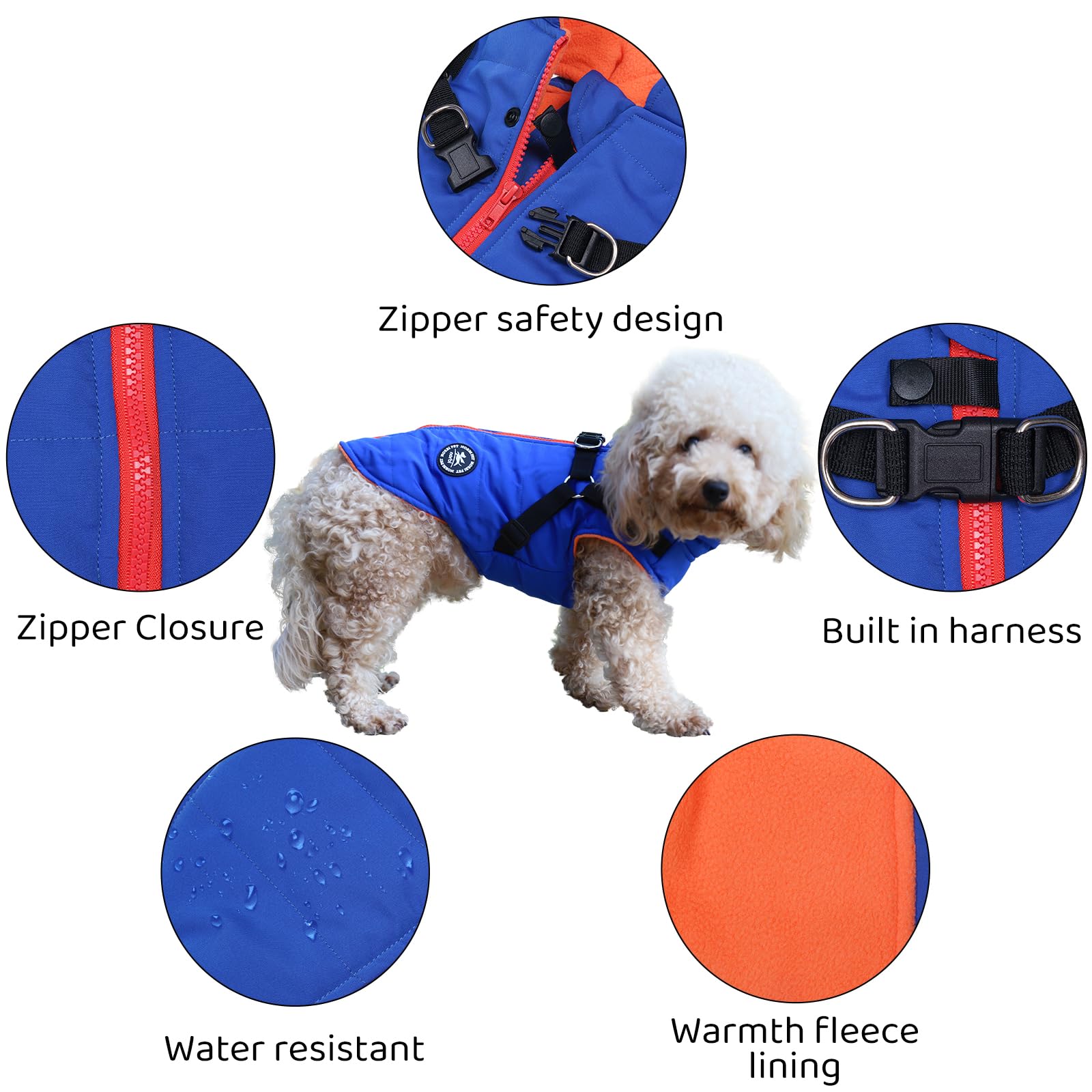Norbi Pet Warm Jacket walking in light snow demonstrates weather-ready protection