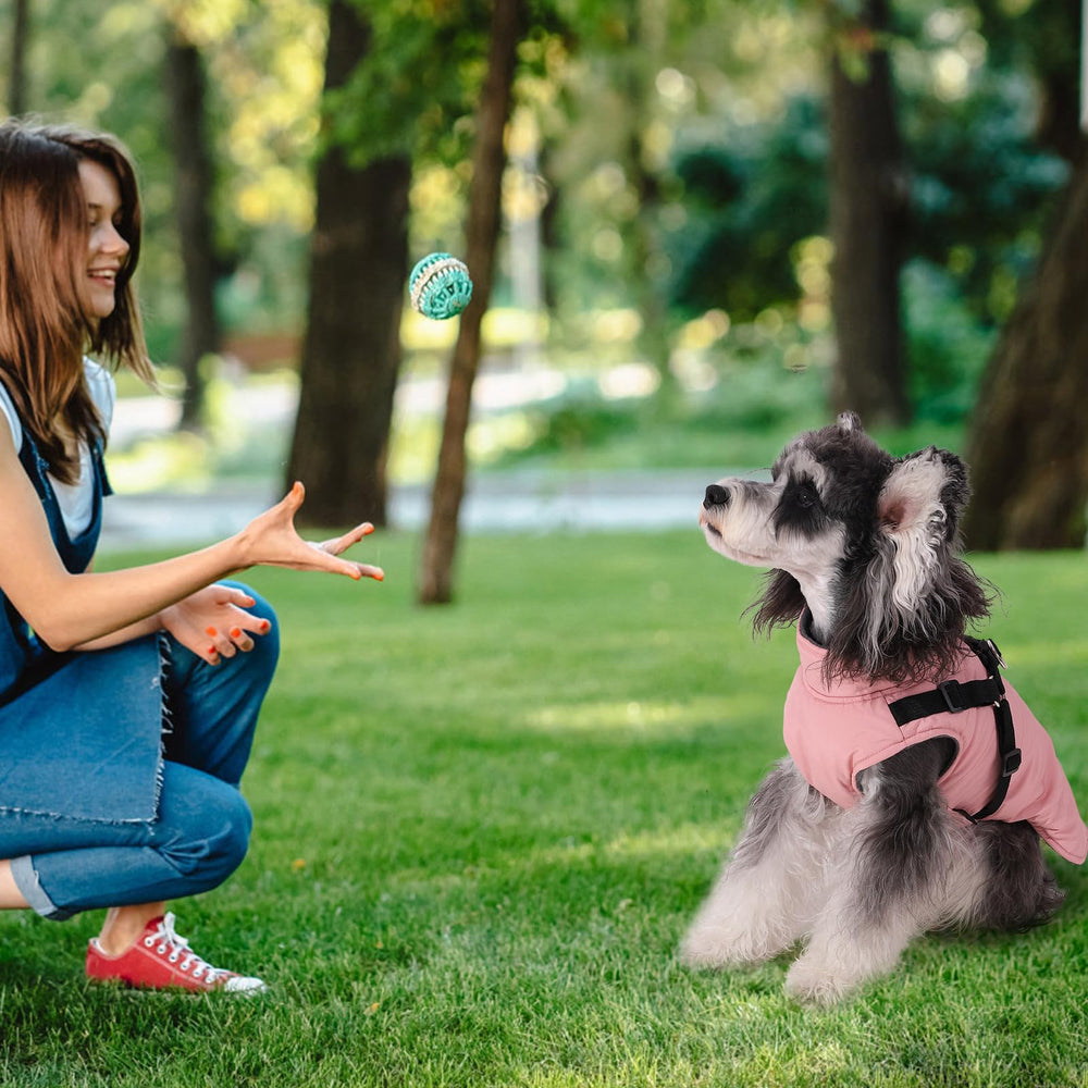 Norbi durable dog coat with reinforced stitching image showcases long-lasting everyday wear