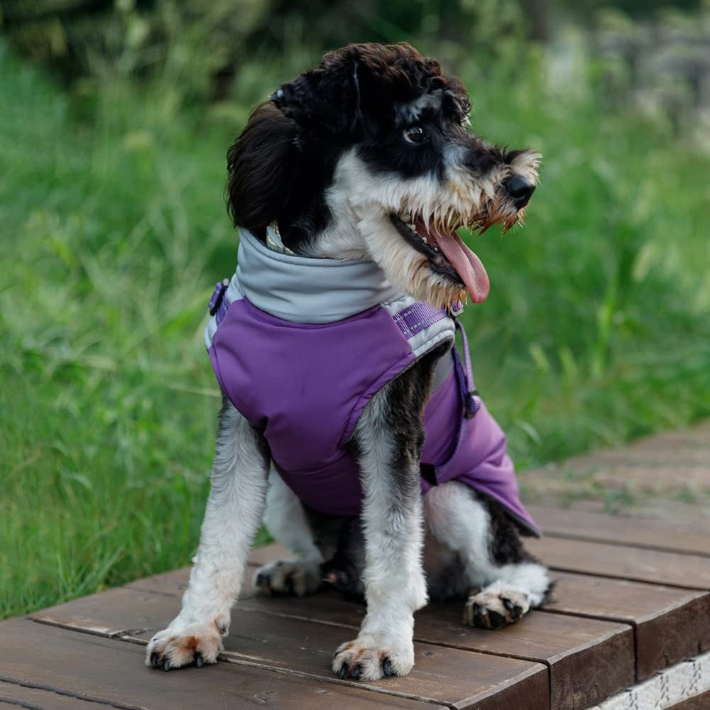 Norbi small dog winter jacket harness-attachment closeup shows quick secure-fit for fast, confident outings