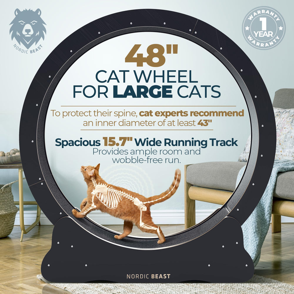 Nordic Beast 48'' XL cat wheel with 15.7-inch wide surface for comfortable two-cat runs.