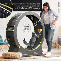 Nordic Beast Gold 48'' cat wheel wide surface highlights dual-cat side-by-side use