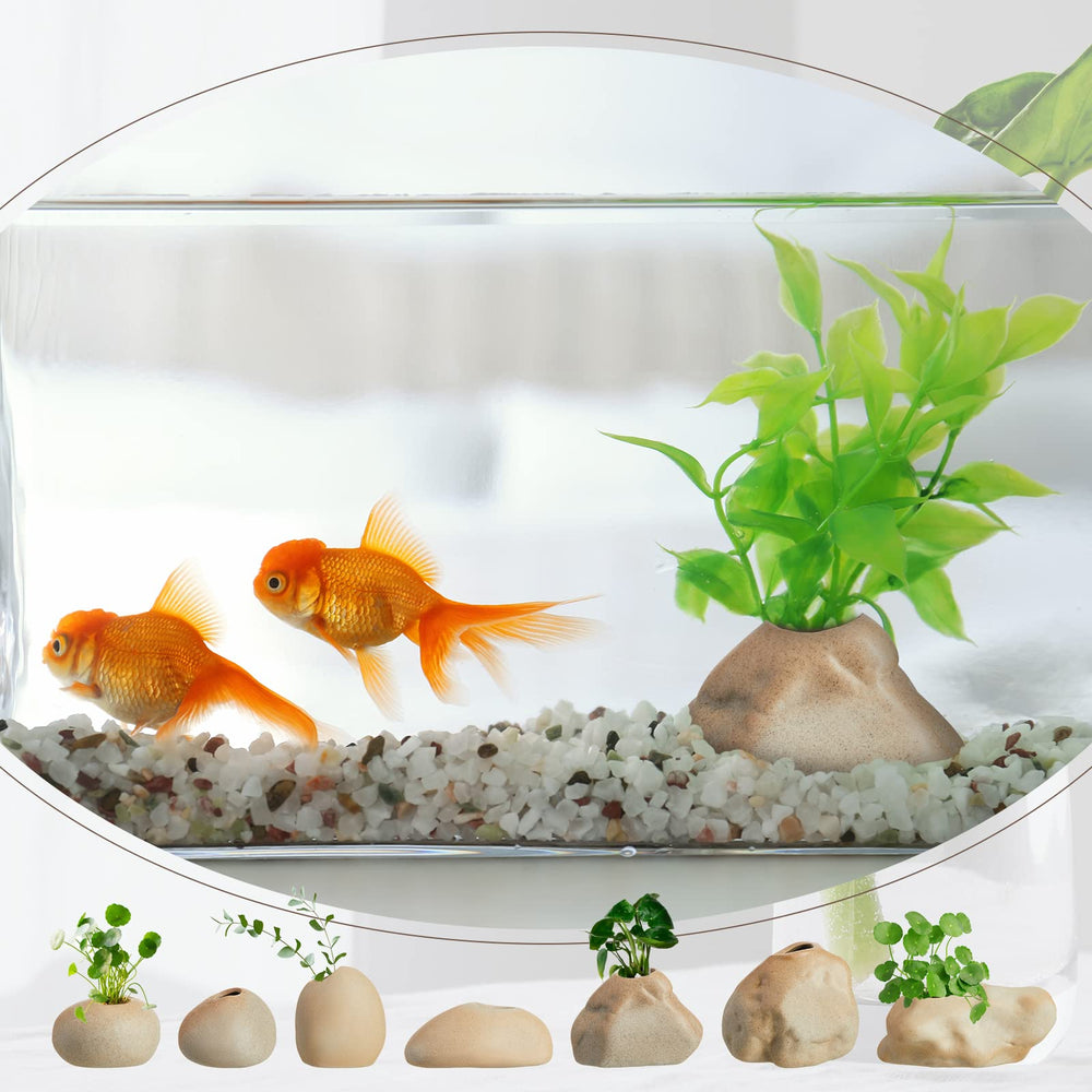 Norme ceramic pots are non-toxic and odorless for worry-free tank beauty