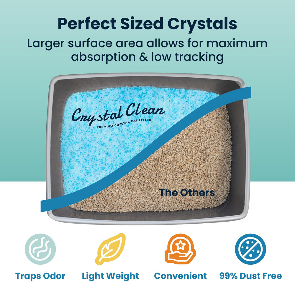 North Star Pets Crystal Clean crystals close-up showing quick odor absorption potential.