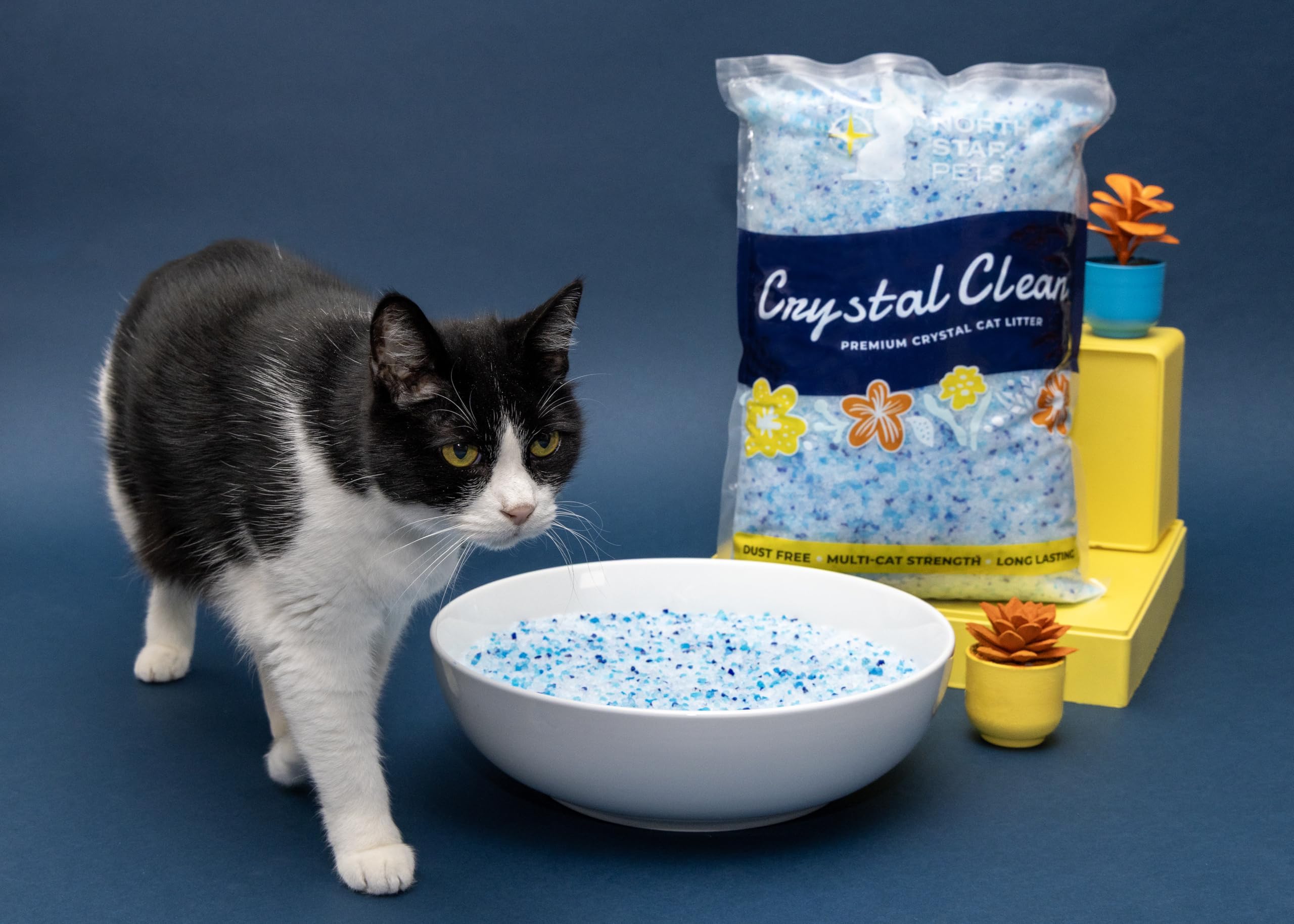 North Star Pets Crystal Clean four pre-portioned bags ready for simple setup.