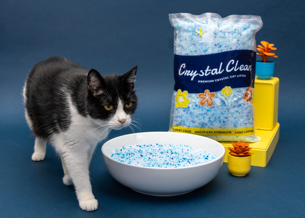 North Star Pets Crystal Clean four pre-portioned bags ready for simple setup.