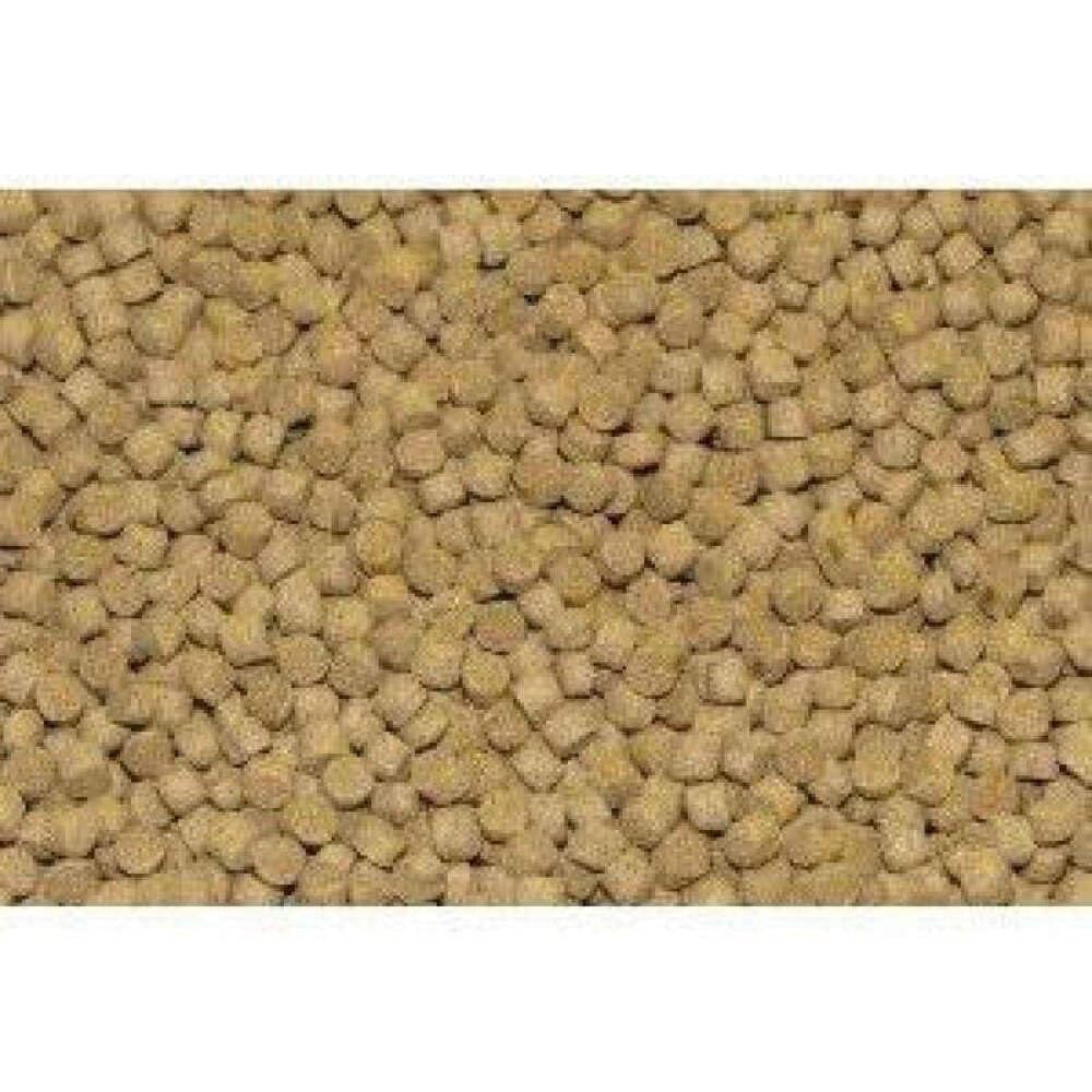 NorthFin Cichlid Formula tank scene highlights reduced waste due to digestibility.