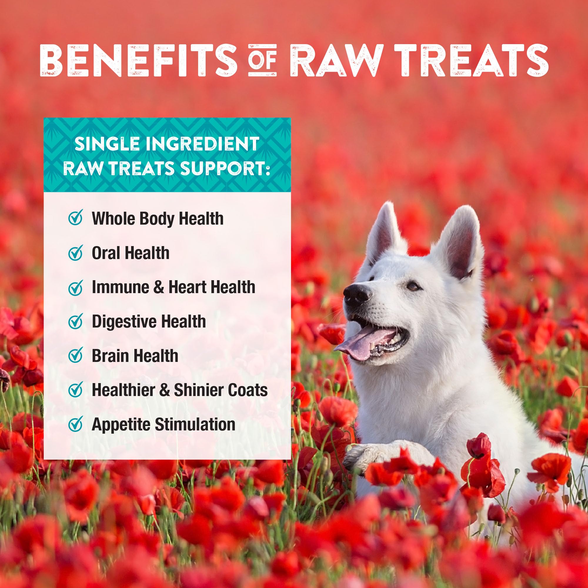 Northwest Naturals Bite-Sized Chicken Treats perfect for dogs and cats of all sizes