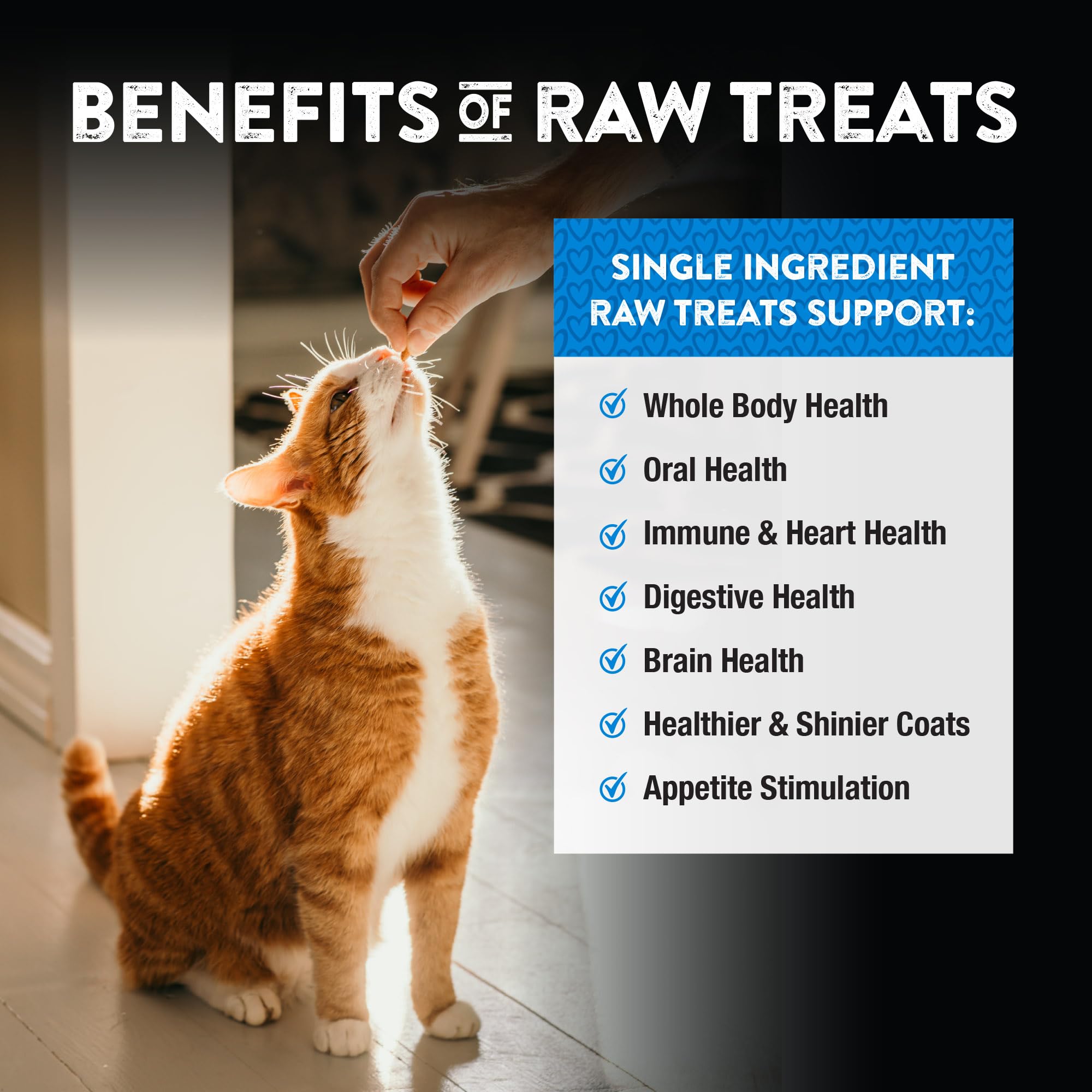 Bite-sized pieces from Northwest Naturals suitable for pets of all sizes