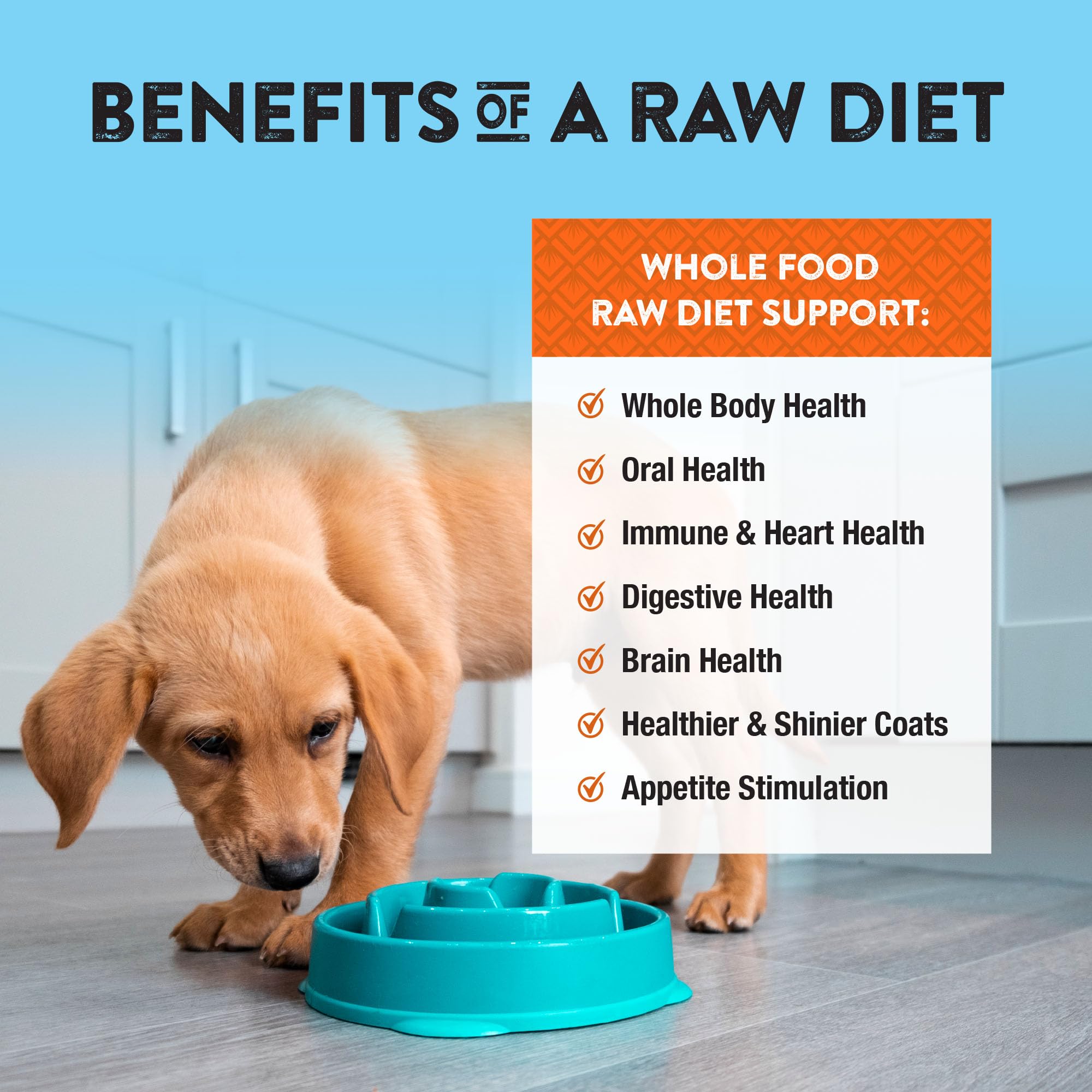 Northwest Naturals dog training treats on the go for quick rewards during walks.