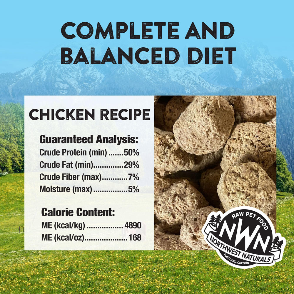 Northwest Naturals freeze-dried chicken nuggets in a bowl demonstrates easy serving and bite-size practicality.