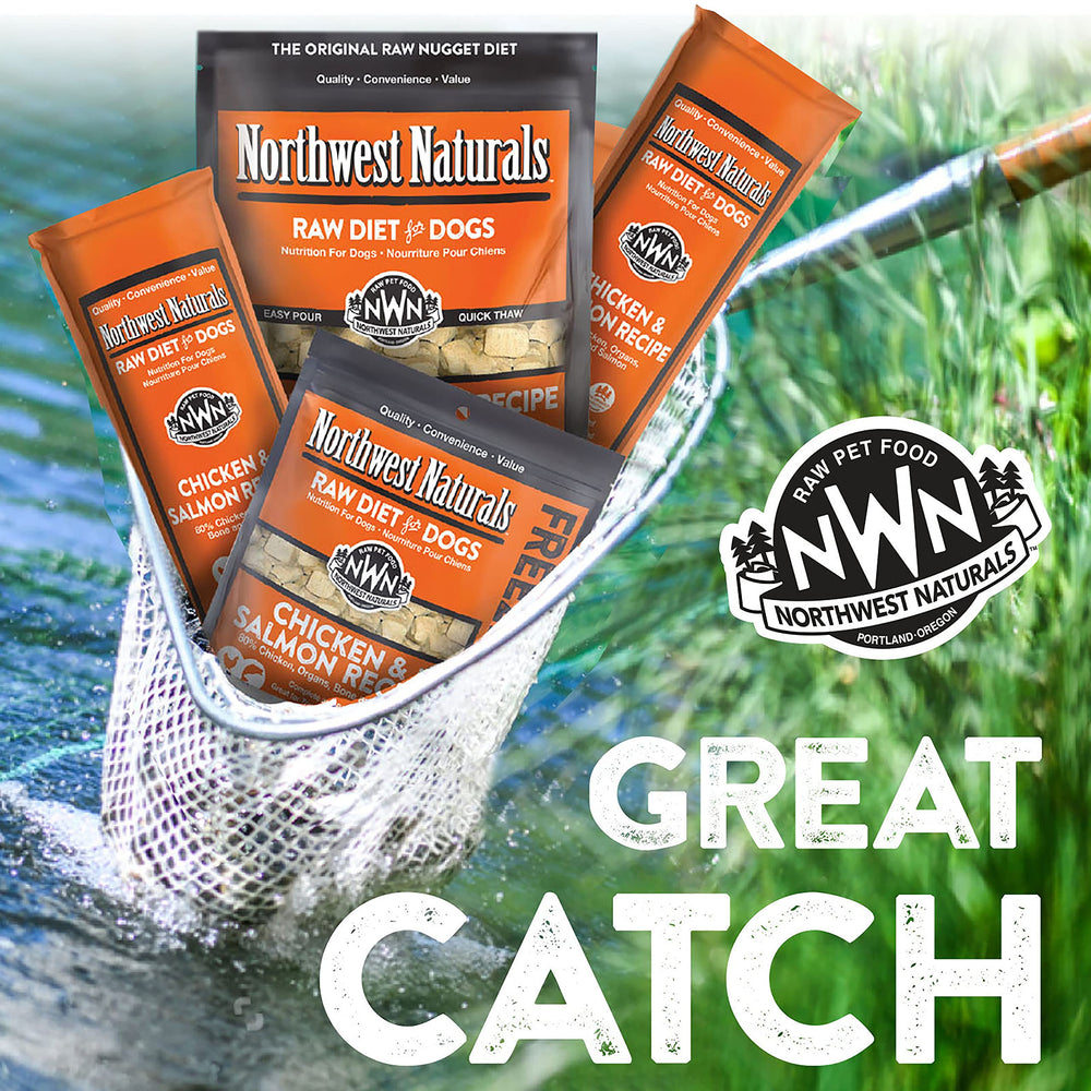 Northwest Naturals grain-free high-protein formula supports active dogs during training and play.
