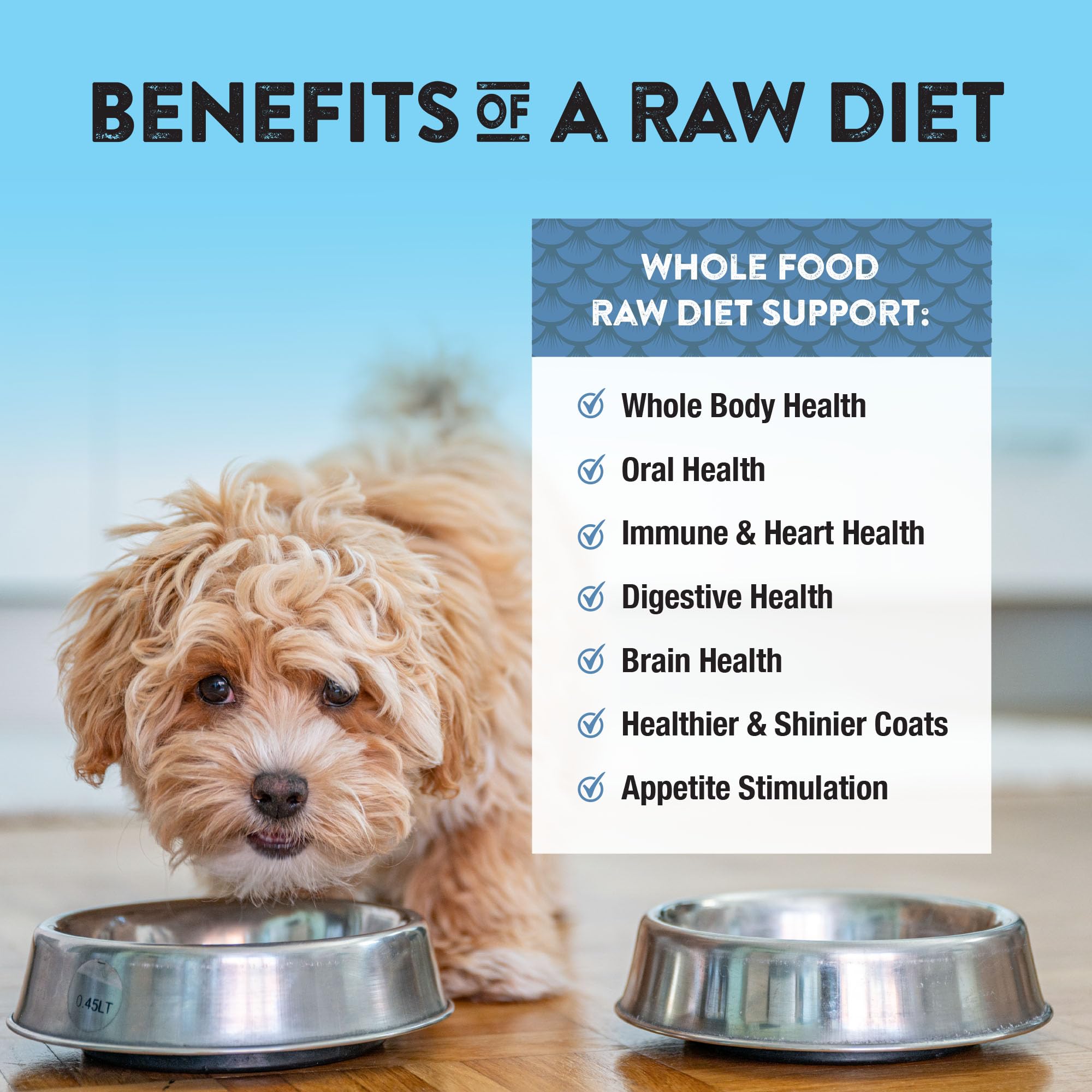 Northwest Naturals omega-3 supports skin and coat health in dogs