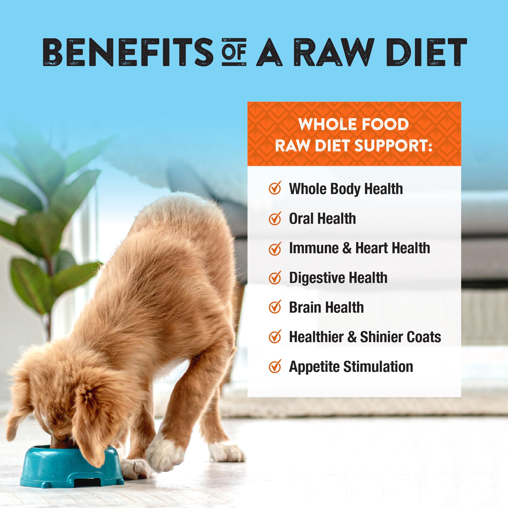 Northwest Naturals omega-3 formula supports healthy skin and coat.