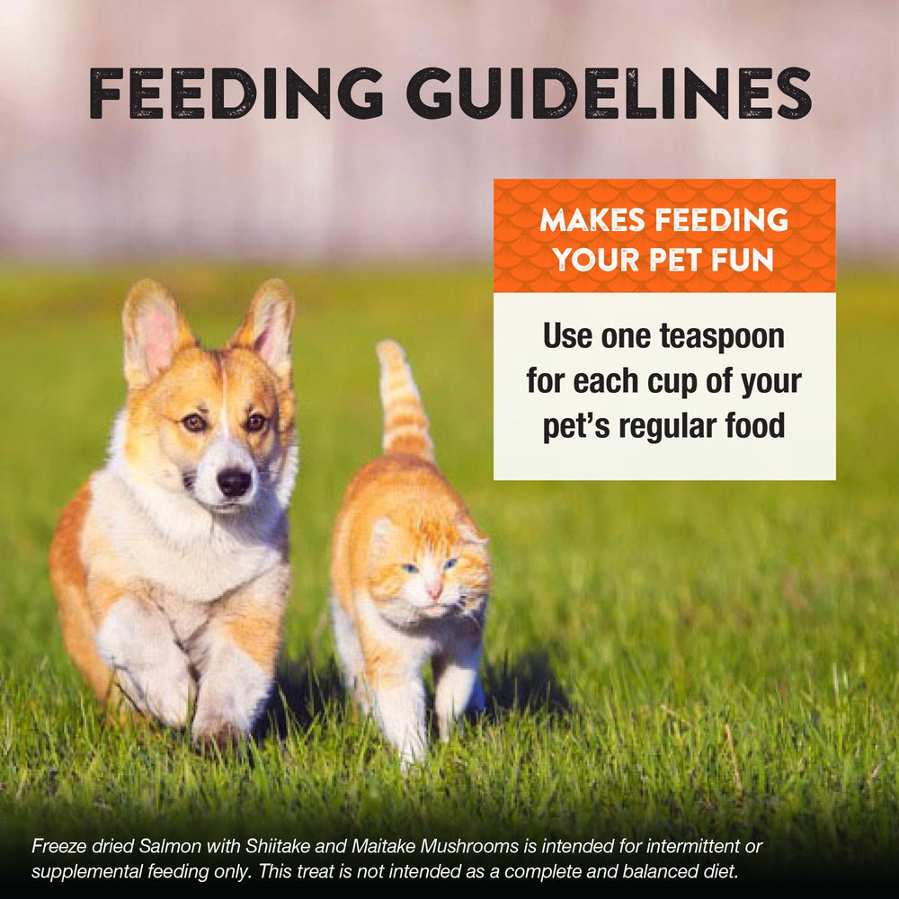 Perros y gatos disfrutan del aderezo para comidas más atractivas.