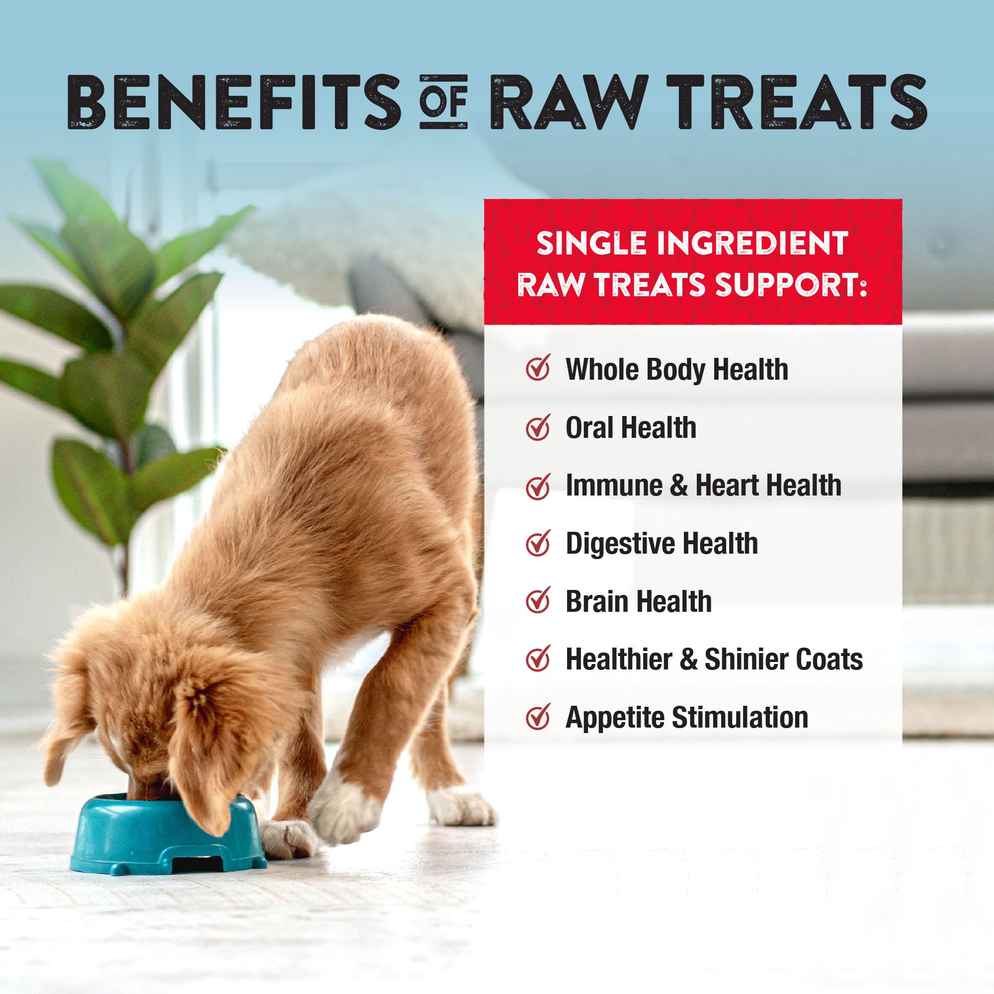 Northwest Naturals Raw Rewards bowl-ready snacks—highly palatable for picky eaters