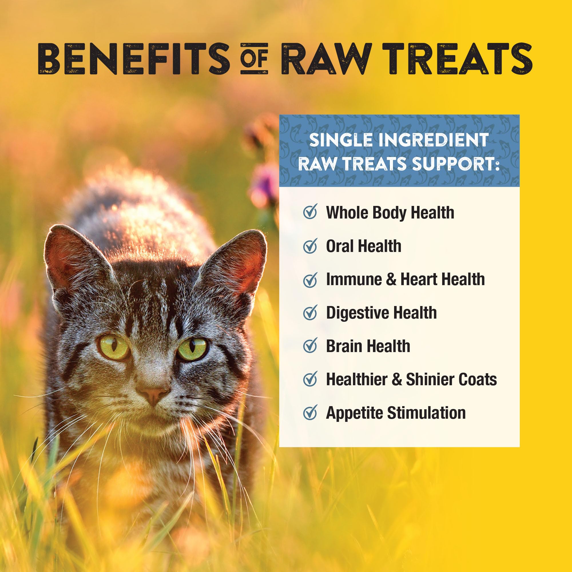 Northwest Naturals Raw Rewards one-ingredient whitefish highlight emphasizes simple, protein-forward snacking.