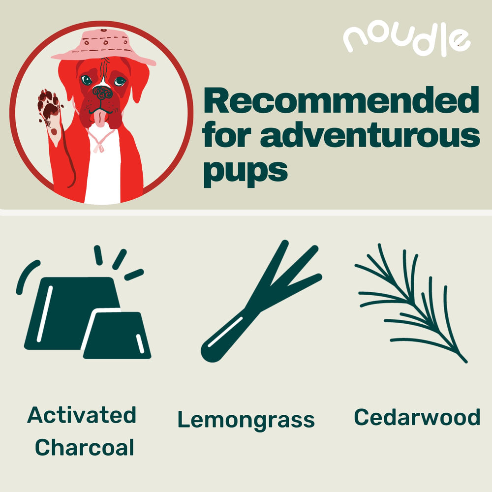 Noudle Pets activated charcoal close-up showing detoxifying ingredient for cleansing.