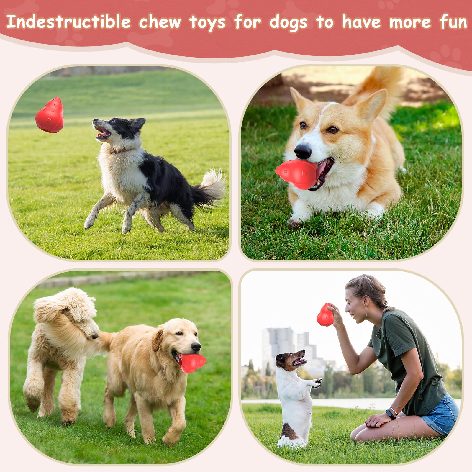 NOUGAT supports dogs of all sizes from 20 to 100 pounds.