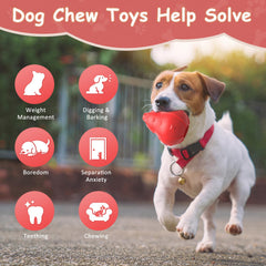 NOUGAT toy’s unpredictable bounce keeps dogs engaged in challenging play.