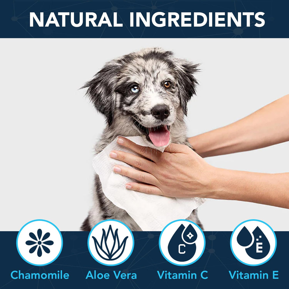 NOVEHA wipes on a dog's body deliver a refreshing, plant-based clean.