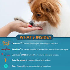 NOVEHA eye supplements dog chews chicken flavor image suggests tasty daily vitamins.