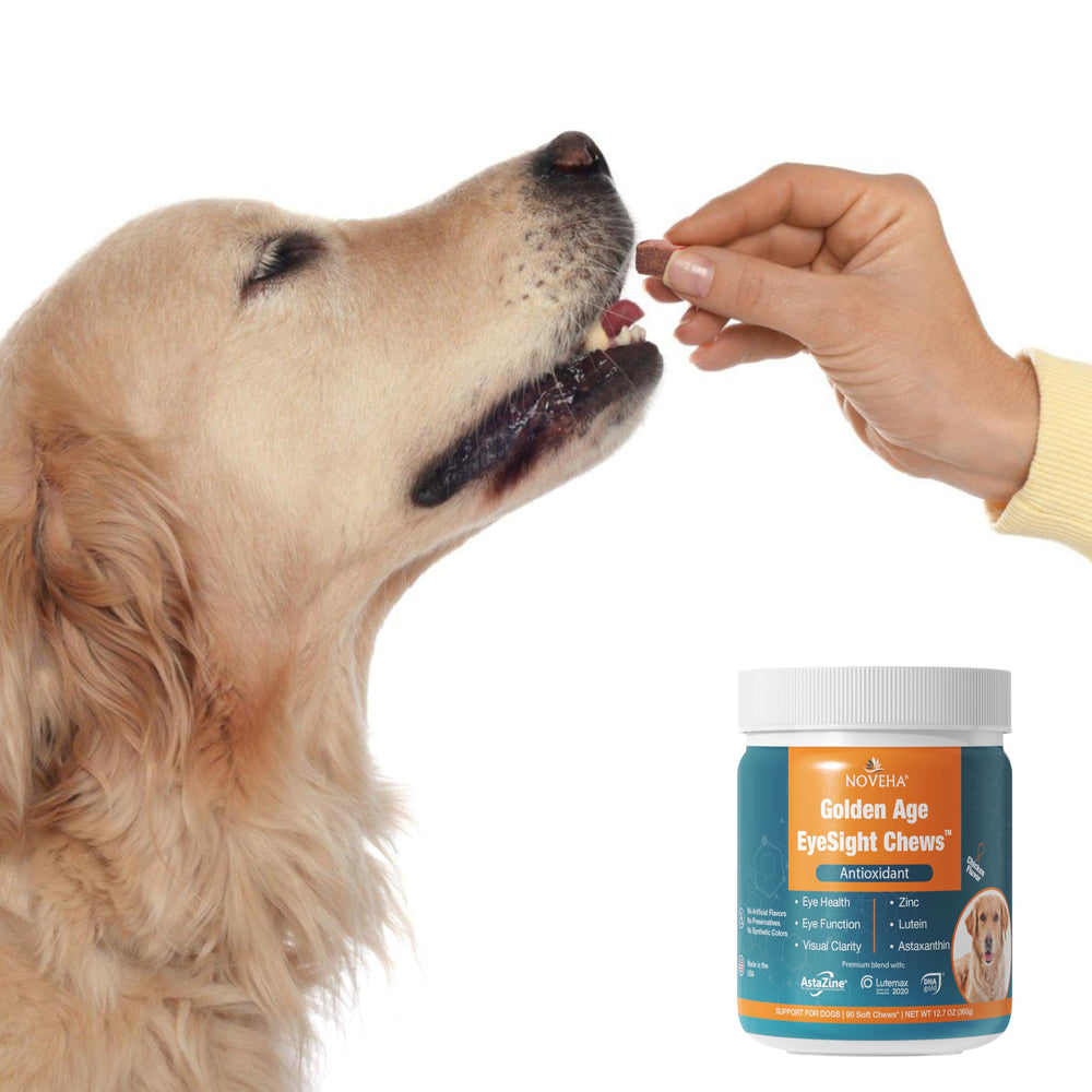 NOVEHA omega-3 fish oil visual links to nourishing fatty acids for coat and eye health.