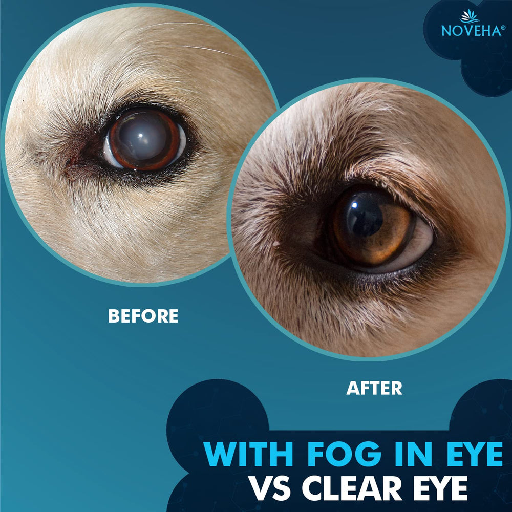 NOVEHA Pet Drops bottle in daily-use scene for eye wellness routine.