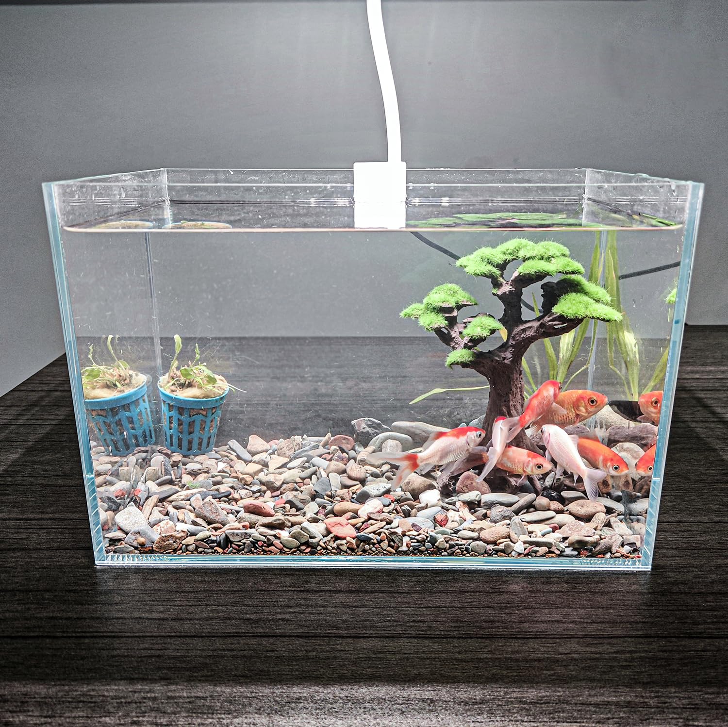 Novelsite bonsai tree with realistic coloring enhances calming visual appeal in small tanks.