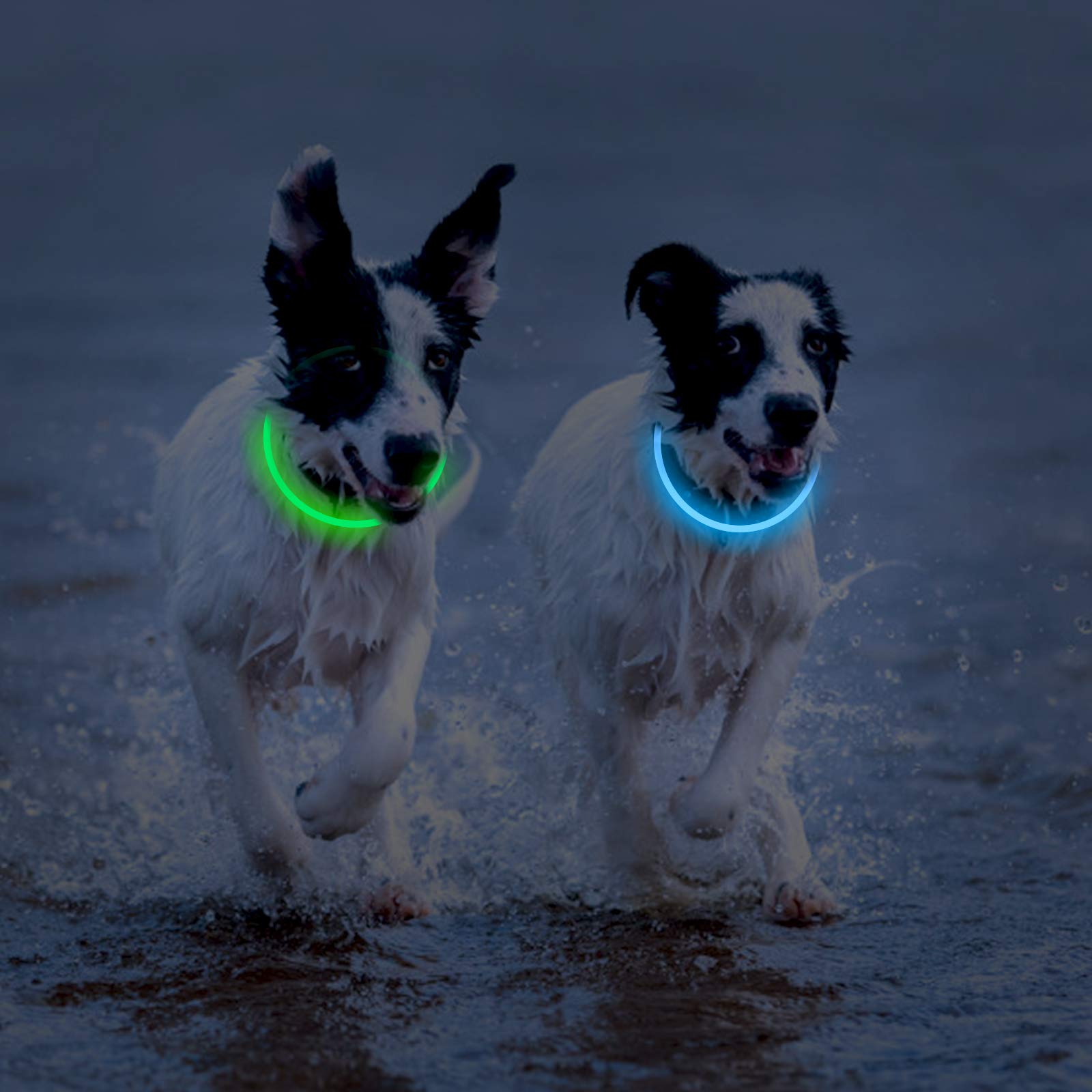 Novkin LED dog collar adjustable-fit design fits small to large dogs.