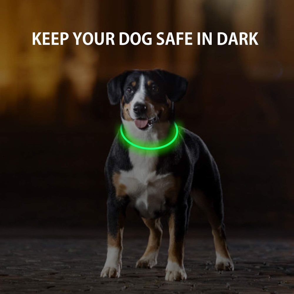Novkin LED dog collar pack green and blue turned on for high visibility.