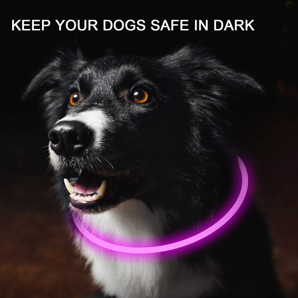 Novkin LED dog collar pink improves nighttime safety during evening strolls