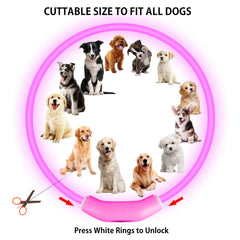 Novkin rechargeable LED dog collar with USB recharge for quick daily use