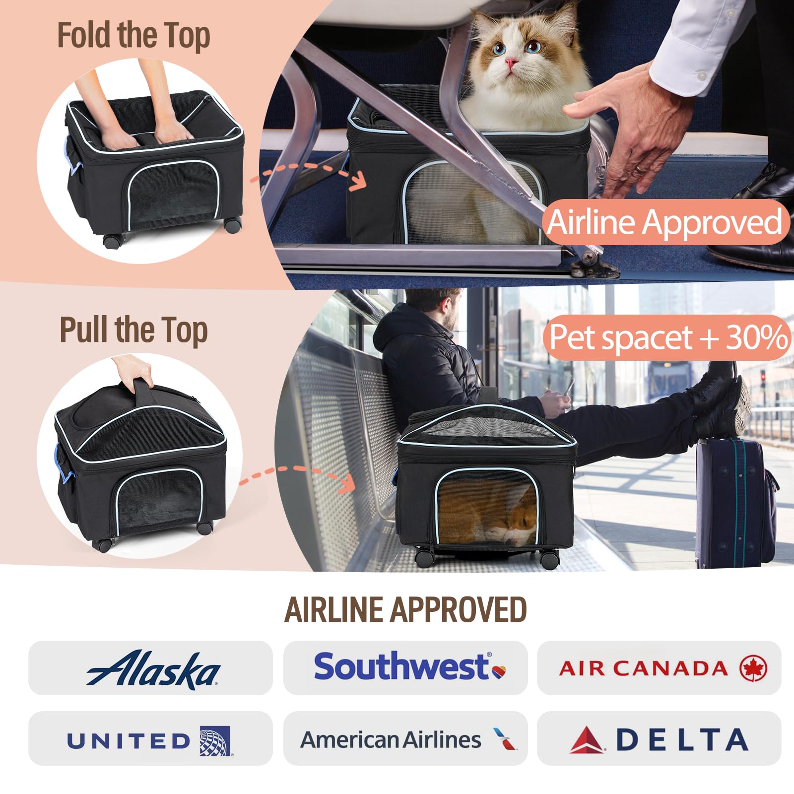 NOVOLAB foldable design converts to a cozy home bed for pets.