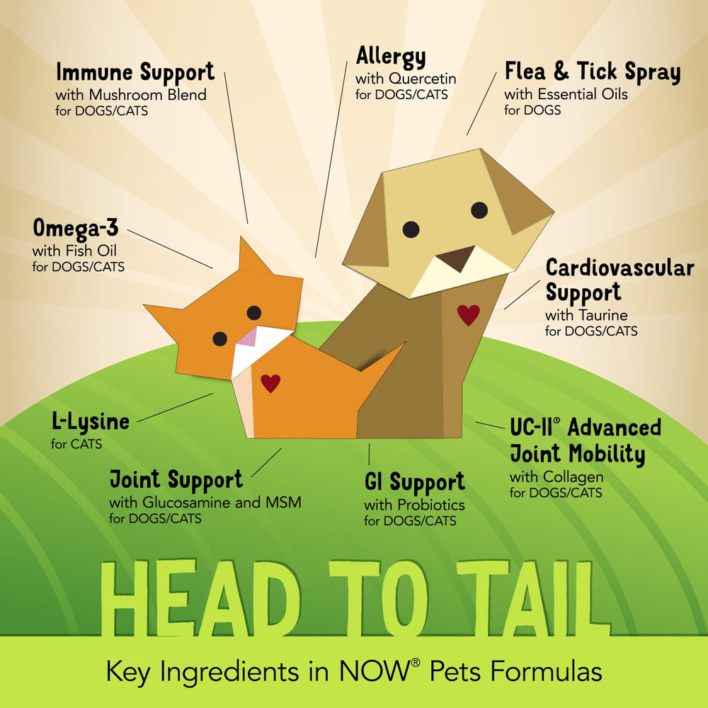 NOW Pets Pet Allergy heritage image promoting trust and consistent pet health support