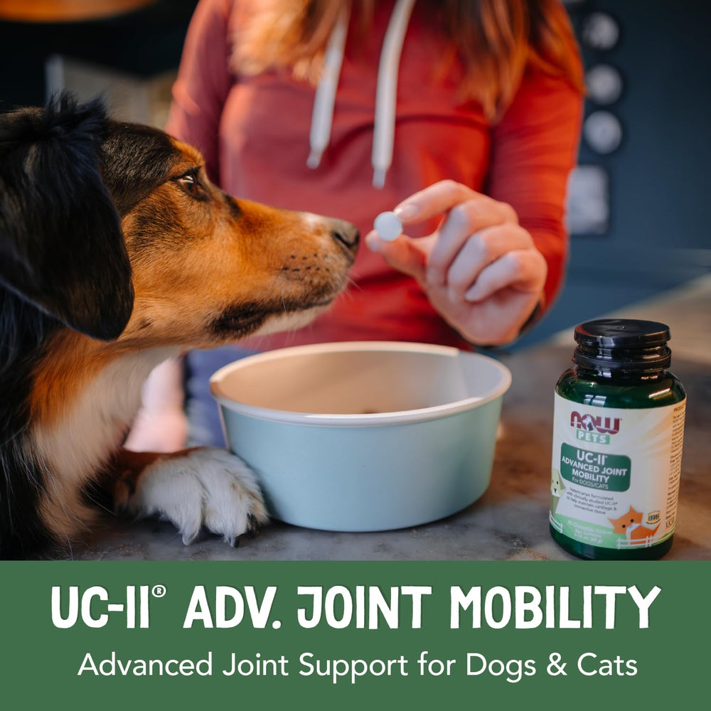 NOW Pets UC-II chews easy to give during playtime and daily routines.