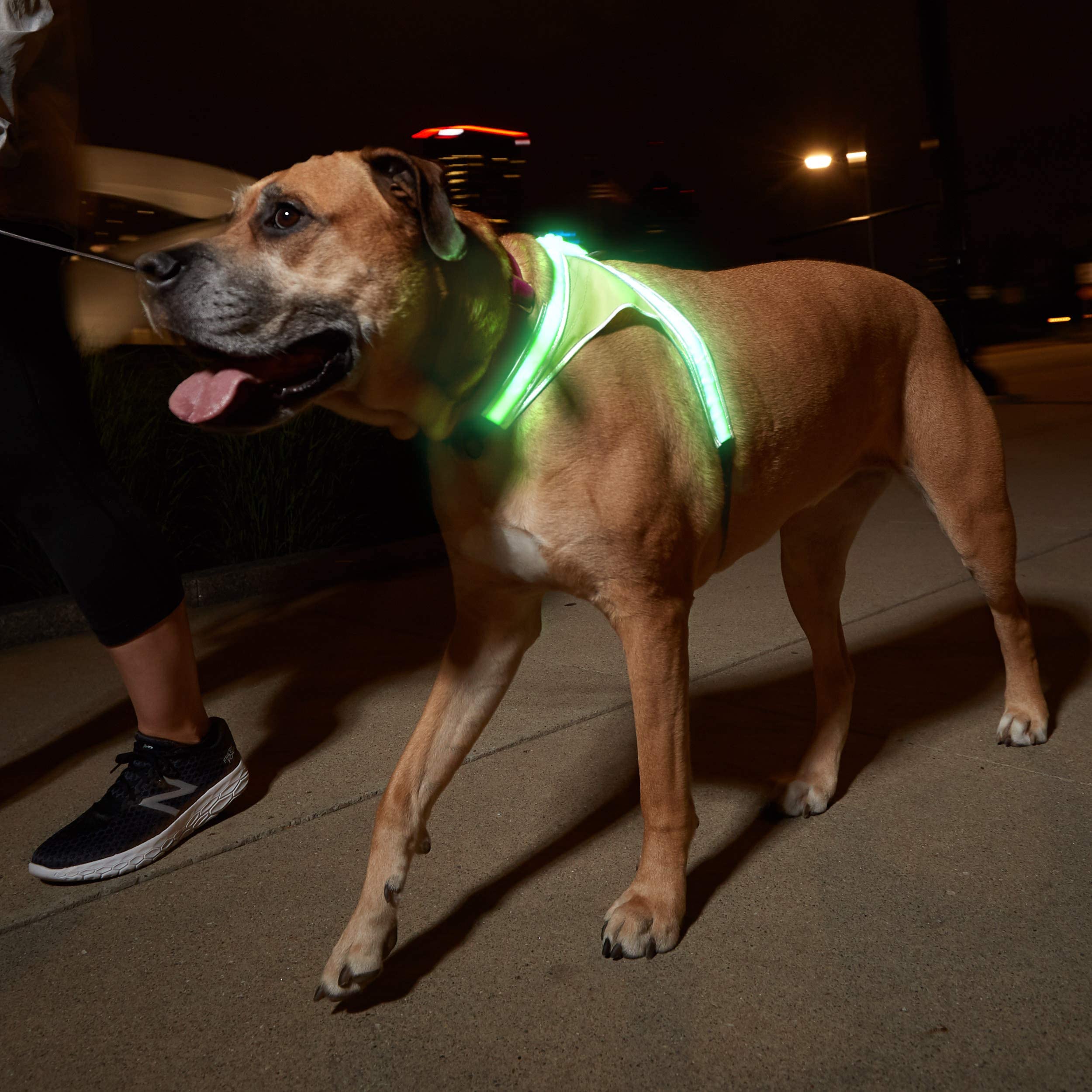 Noxgear LightHound durable reflective bias enhances daytime and nighttime visibility.