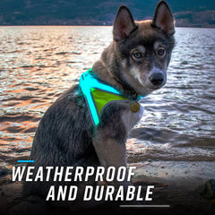 Noxgear LightHound durable Cordura construction withstands rugged use