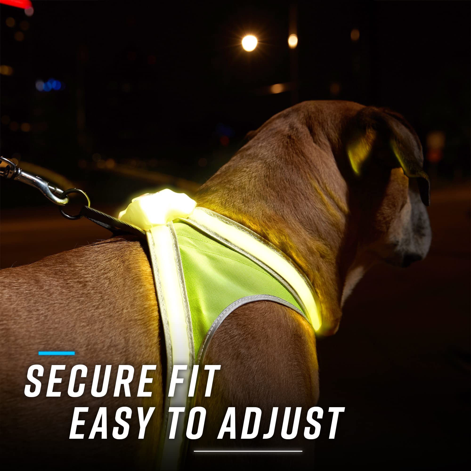 Noxgear LightHound adjustable neck and chest for a comfy fit.
