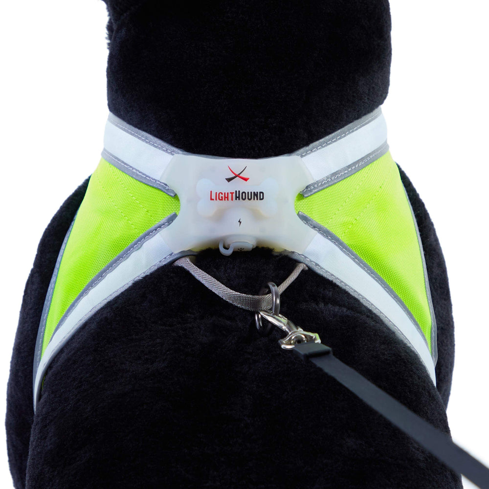 Noxgear LightHound easily slides over collars and jackets without restricting leashes.