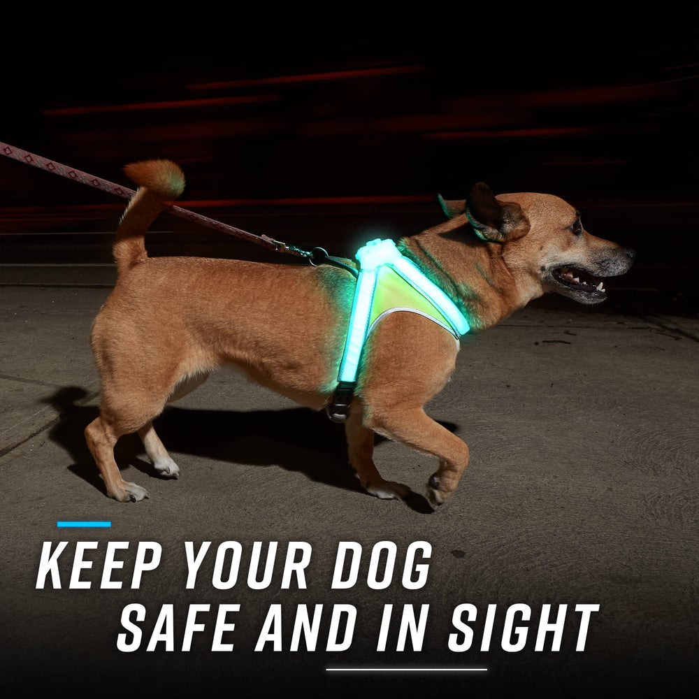 Noxgear LightHound shows 360-degree visibility to help you spot your dog from all angles.