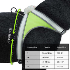 Noxgear LightHound displaying multicolor LED modes ideal for safe evening walks.