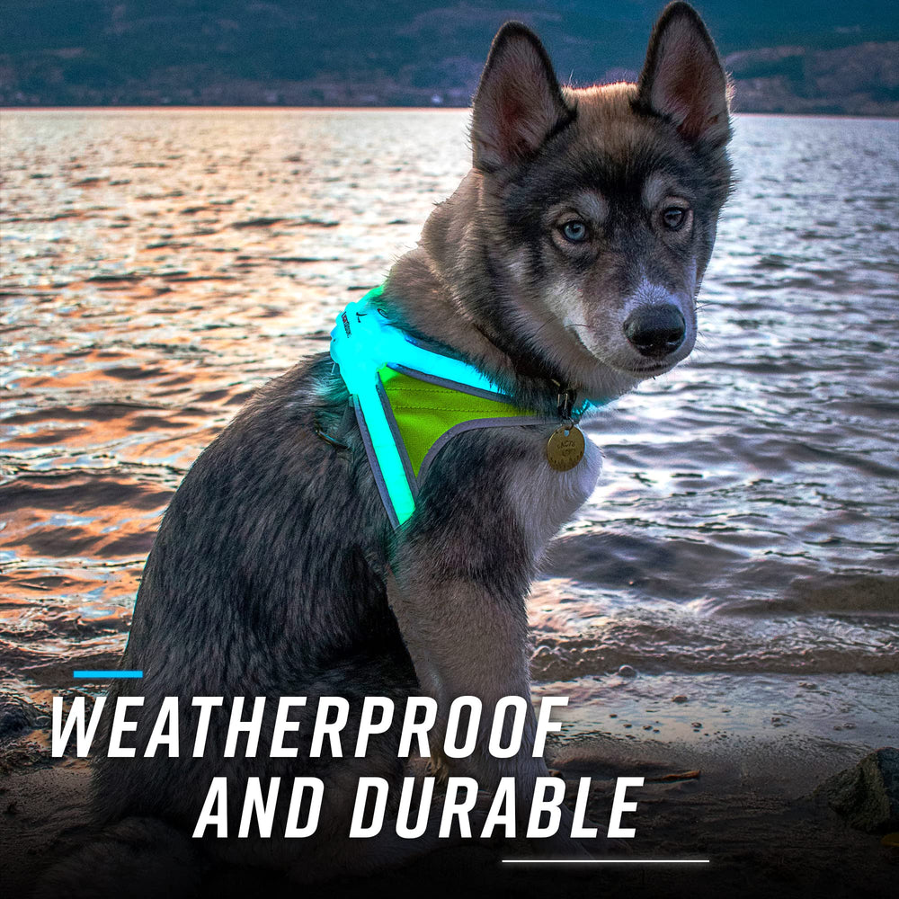 Noxgear LightHound is rainproof and durable for all-weather adventures.