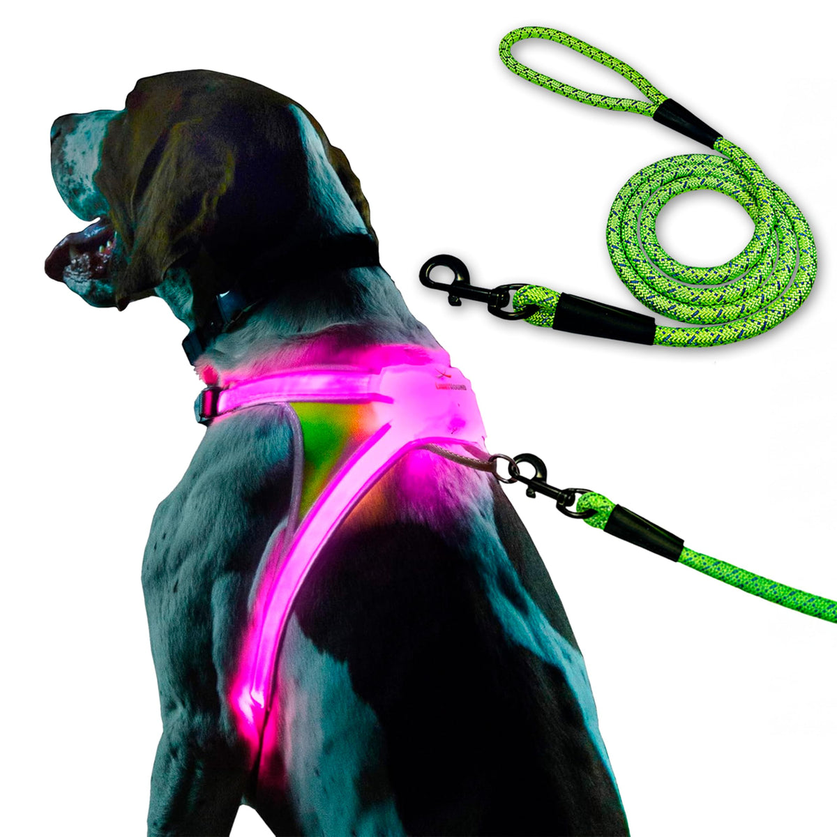Noxgear LightHound vest front view glowing for safer night walks.