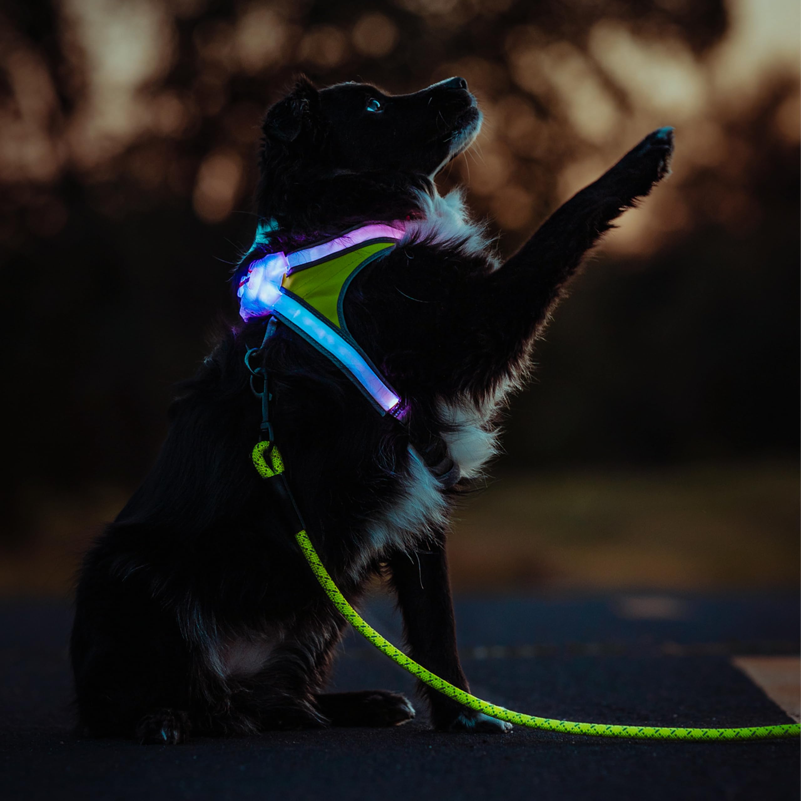 Noxgear LightHound vest side view highlighting LED fiber optics visibility.