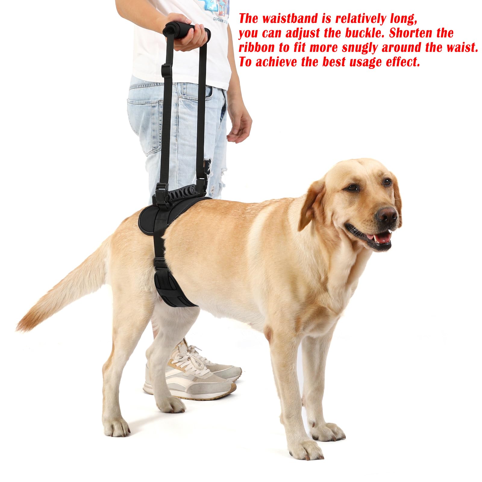 NOYAL dog lift harness back strap adjustment for secure, comfortable transfers.