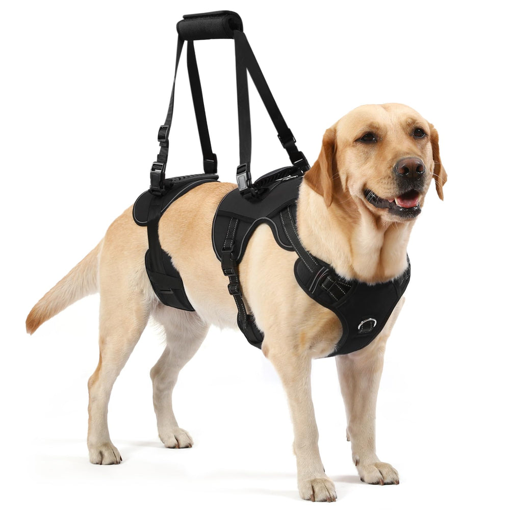 NOYAL dog lift harness breathable mesh supports gentle transfers for senior or injured dogs.